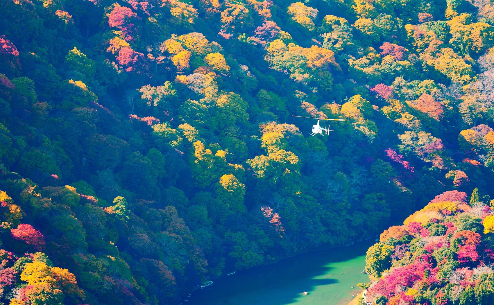 紅葉保津川上空